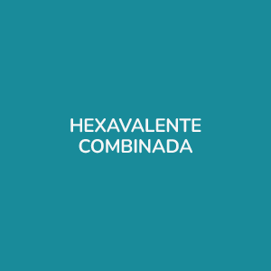 VACINA HEXAVALENTE COMBINADA