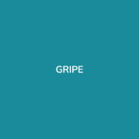 VACINA GRIPE TETRAVALENTE ADULTO E INFANTIL