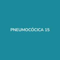 VACINA PNEUMOCÓCICA 15
